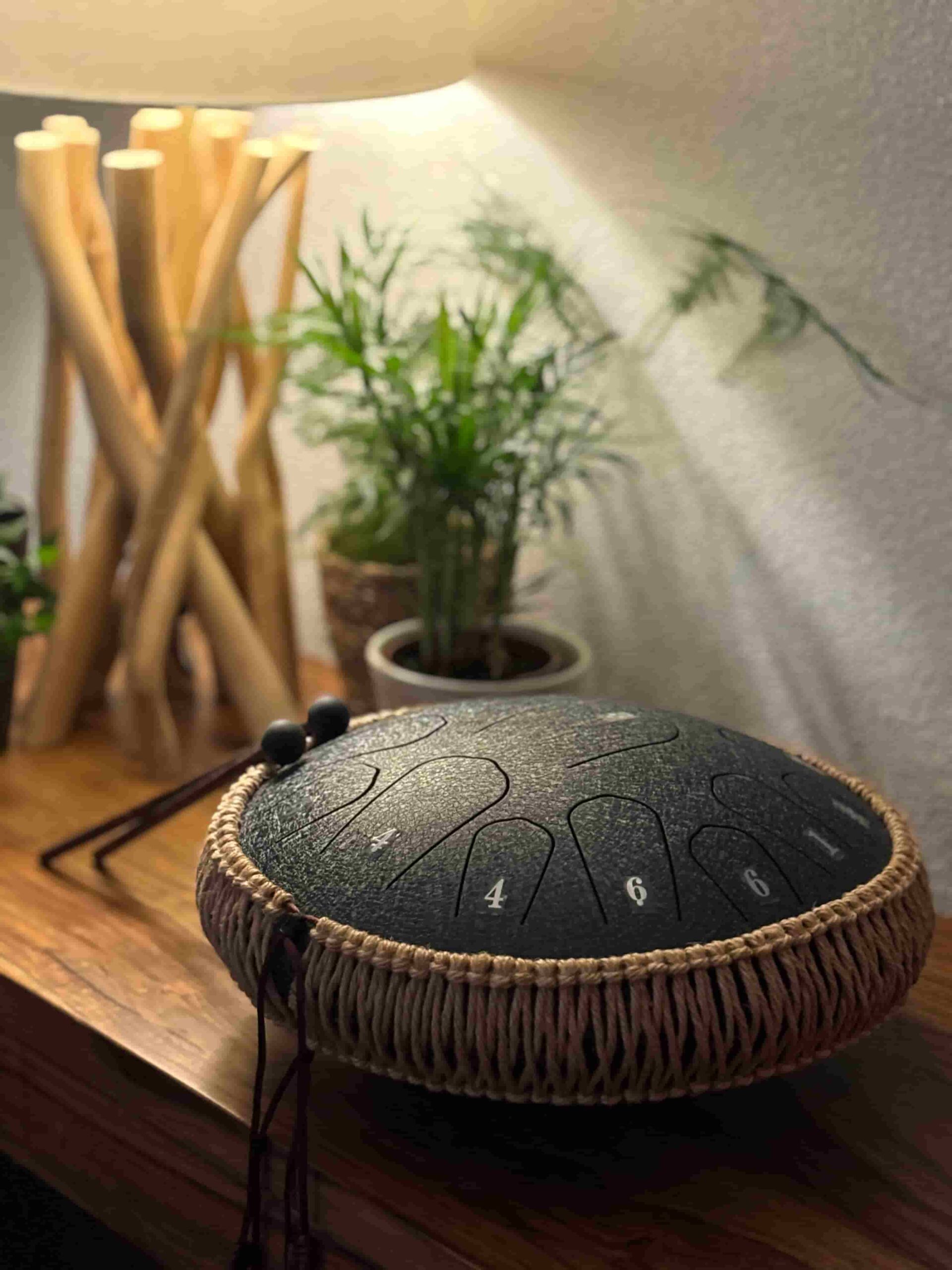 木製の机の上に観葉植物とともに置かれたタングドラム